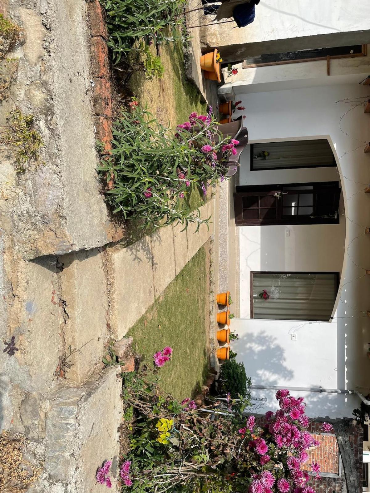 Kafal Tree Home Stay - Pet Friendly Bhowali Bagian luar foto